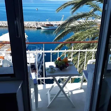 Appartement Palm Tree Studio,