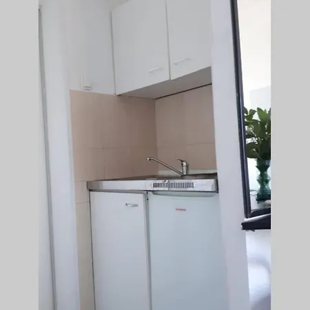 Appartement Palm Tree Studio, *