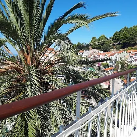 Appartement Palm Tree Studio,